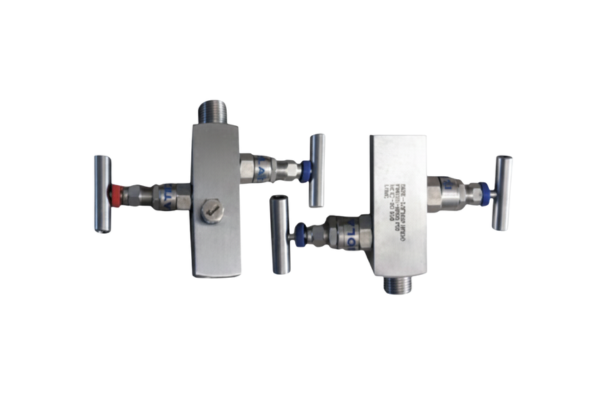 Gauge root valves