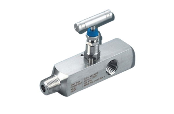Multi Port Gauge Valves