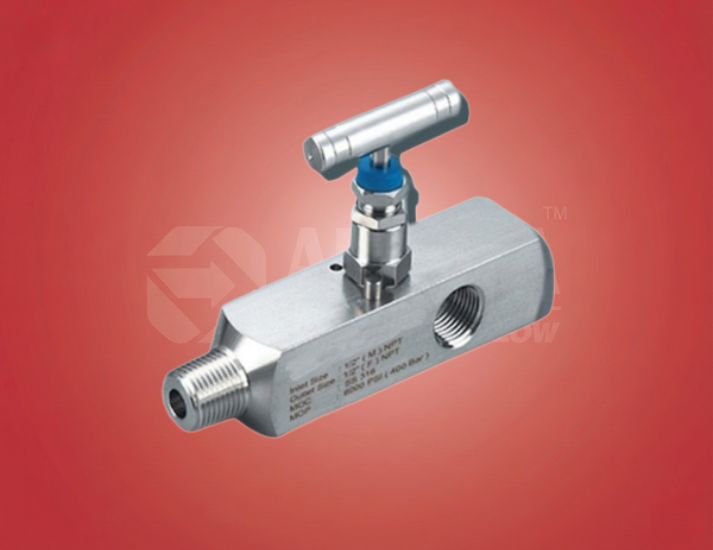 Multi Port Gauge Valves